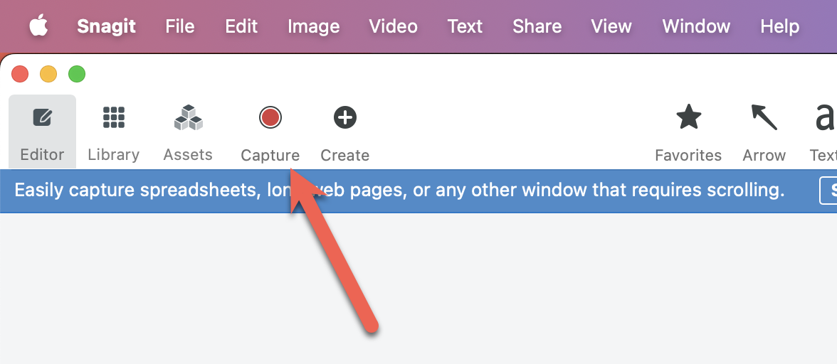 snagItCaptureWindow