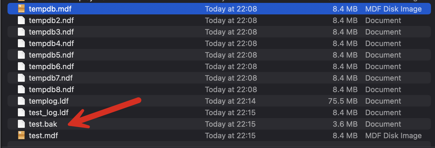 SQLServerFiles