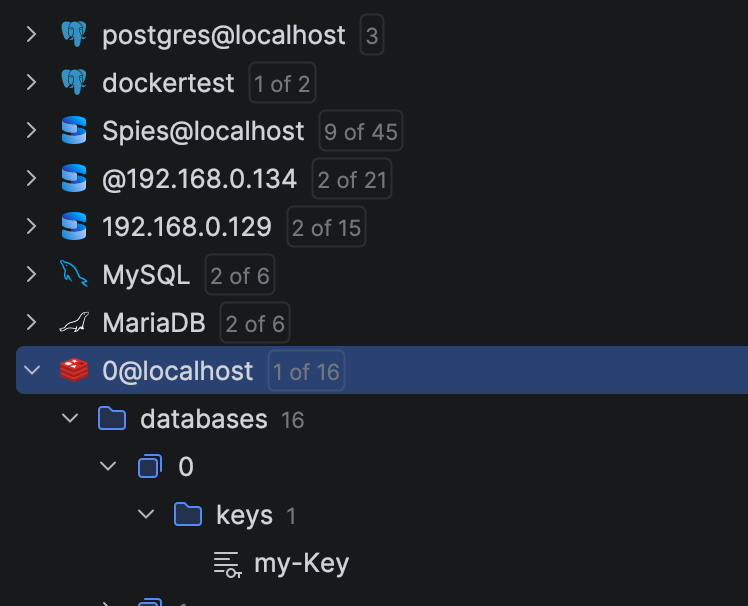 11ViewDatabases